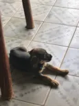 ele não tem nome