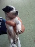 Luky