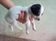 Luky