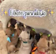 Sem nome