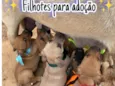 Sem nome