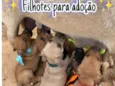 Sem nome