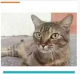 JULLY
