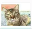 JULLY