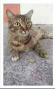 JULLY