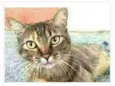 JULLY