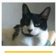 FILÓ
