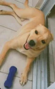Joaquim