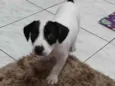 Sem nome ainda