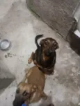 Mel e Otávio 