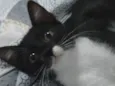 Nina