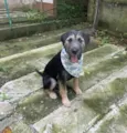 Barthô
