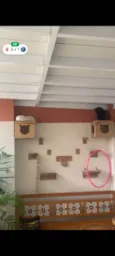 Tico e Tica