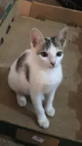 Queenie