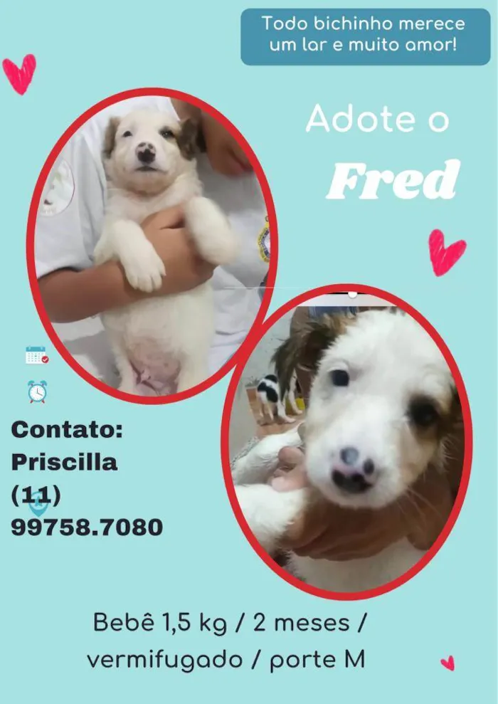 Fred