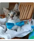 FÉLIX