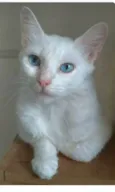 MAITÊ
