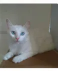 MAITÊ 