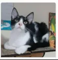 OTTO