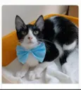 OTTO