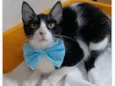 OTTO