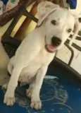 BEBÊ