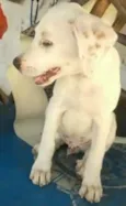 BEBÊ