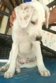 BEBÊ
