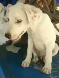 BEBÊ