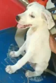 BEBÊ