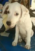 BEBÊ