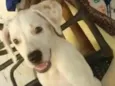 BEBÊ