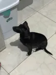 Vitória 