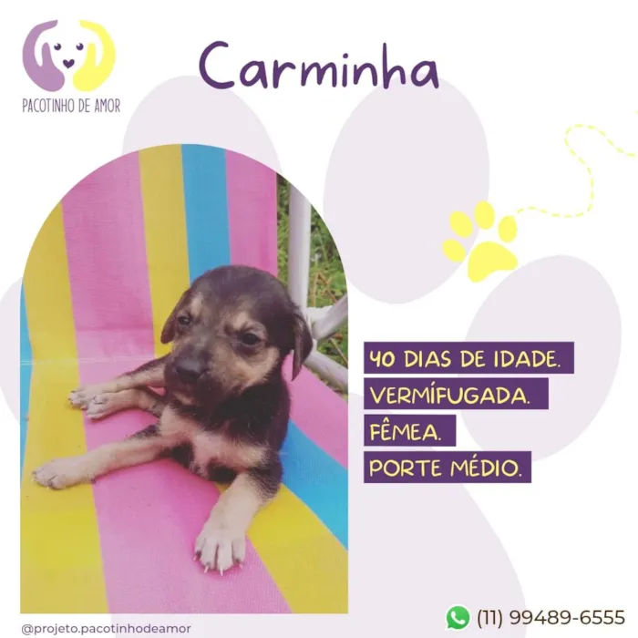 Carminha