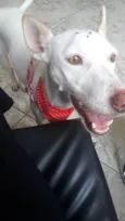 Mel 