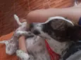 FLOQUINHO