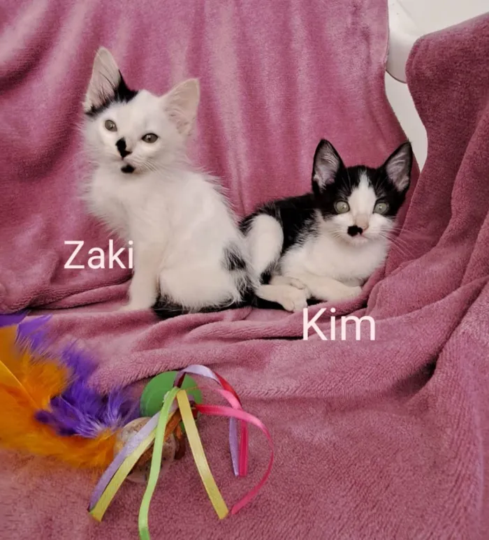Zaki e Kim 