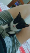 Ellie