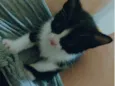 Ellie