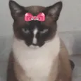 Nicole 