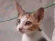 Minimãe