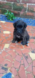 Vicky