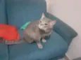 ????