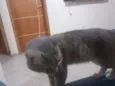 ????