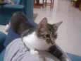 ????????