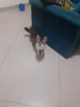 ????????