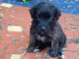 Vicky