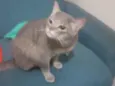 ????