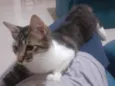 ????????