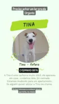 Tina